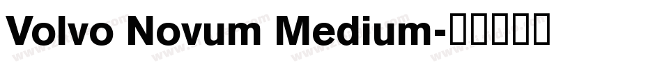 Volvo Novum Medium字体转换